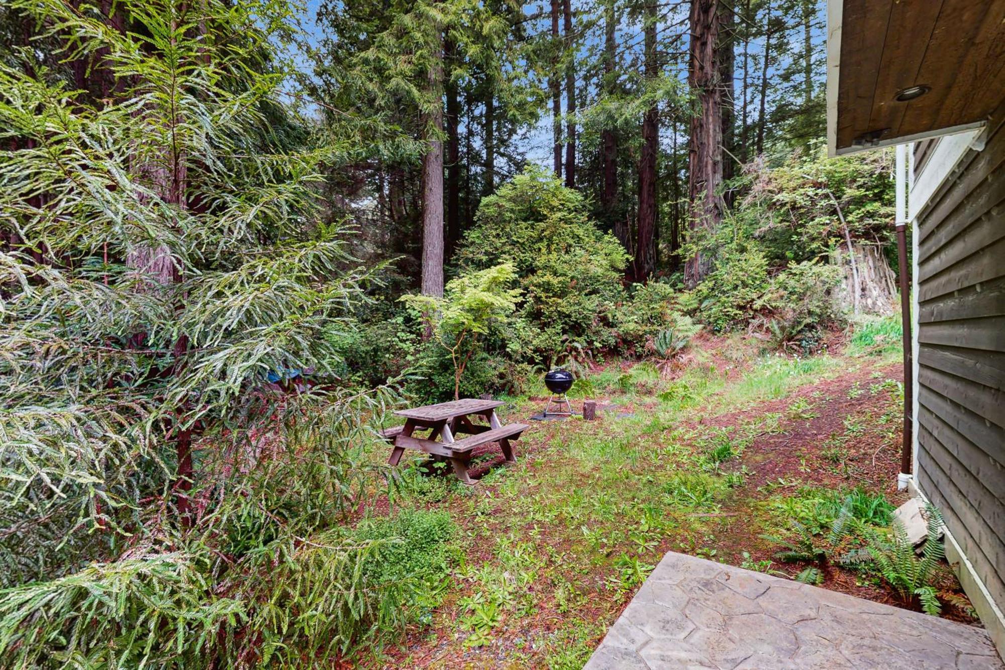 Serene Redwood Retreat Arcata Exterior foto